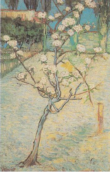 Flowering Pear-Tree, Vincent Van Gogh